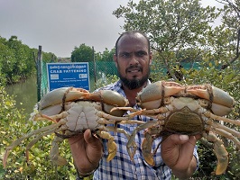 handing-over-watercrab-03