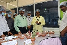 hortimillete-02-2019