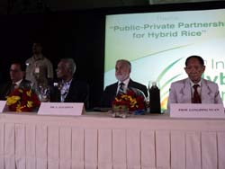 hybrid-rice-05-10-09-2012