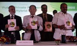 hybrid-rice-06-10-09-2012