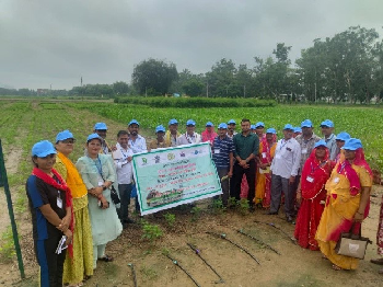 Training on Organic Farming for Farmers of Rajasthan Organised