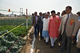 iari-01-02032020.jpg