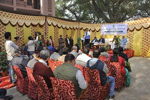 iari-01-05122019