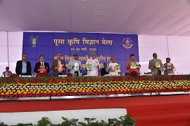 iari-06-06032020.jpg