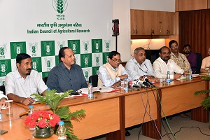 icar-dg-media-press-01