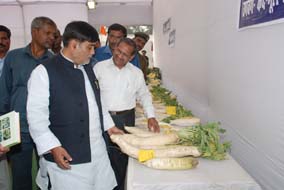 icarfairpatna-06.jpg