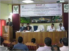 icarnehnaip-02-16-09-2013