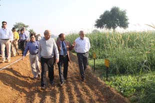 igfri-03-26112014.jpg