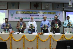 igfri-03-26112014.jpg