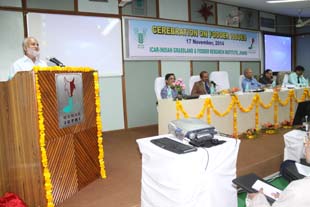 igfri-04-26112014.jpg
