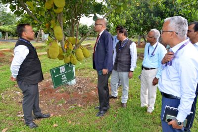 Shri Gyanendra D. Tripathi, Additional Secretary (DARE) & Secretary (ICAR), Visits ICAR-IIHR, Bengaluru; Emphasizes Technology Commercialization and Horticultural Innovation