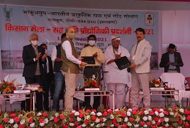 iinrg-02-16022021.jpg