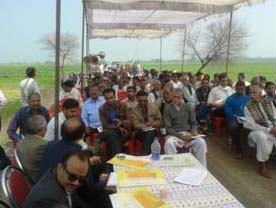 iipr-02-17022015.jpg