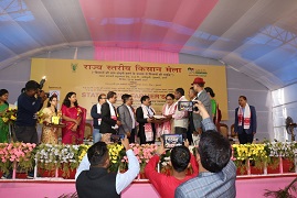 iir-01-06032020.jpg