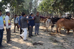 iisr-010-20202020.jpg