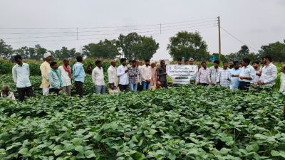 Carbon Pathshala Organised for Vidisha Farmers