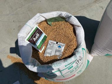 ICAR-IISWC Introduces New Wheat Varieties to Farmers of Raipur Block in Dehradun