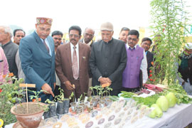 iivrkisan-01.jpg
