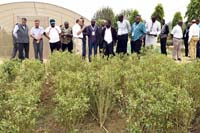 indo-africa-28-10-2015-3