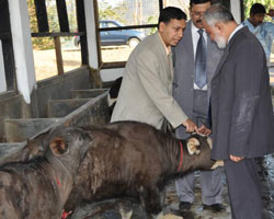 interface-meeting-nagaland-08-02-2011-4