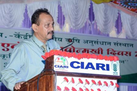 islandkisan-02.jpg