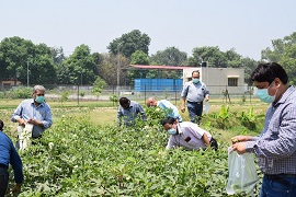 ivri1_0.jpg
