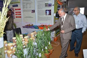 krishi-vasant-2014-2