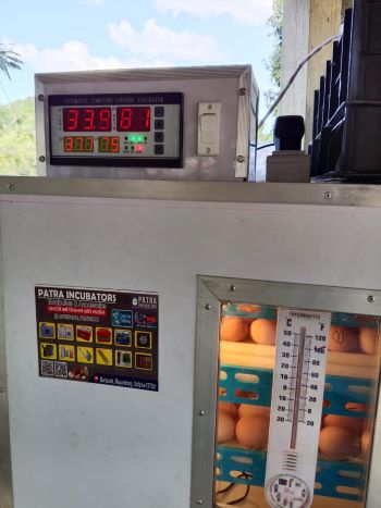 Enhancing Livelihoods and Nutritional Security through Backyard Poultry in Zunheboto, Nagaland