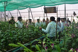 kvkatari-01-30012019.jpg