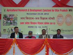 kvkiisr-1-29-11-2012