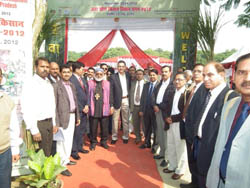 kvkiisr-5-29-11-2012