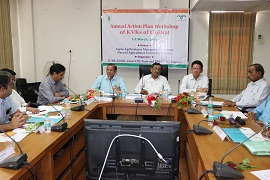 kvknavsari-01.jpg