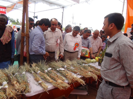 laitpur-04.jpg