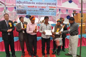 mela-08-20022015.jpg