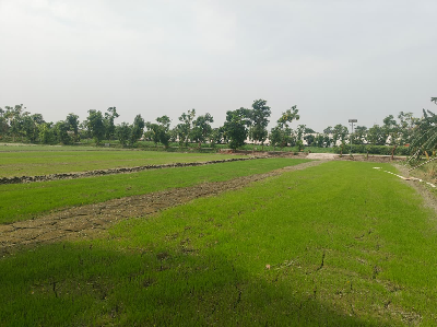 ICAR–MGIFRI, Motihari Takes Khet Bachao Abhiyan to India’s Frontier Villages, Promotes Soil Health and Sustainable Farming