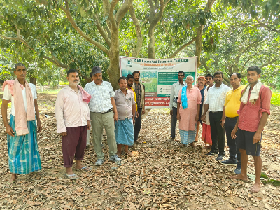 ICAR-MGIFRI, Motihari Advances Scientific Nutrient Management in Litchi Cultivation