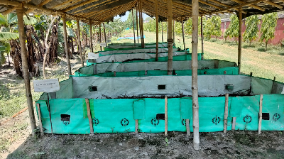 Farmer feedback highlights growing demand for integrated farming systems and soil-health-centered agriculture under Khet Bachao Abhiyan at ICAR-MGIFRI, Motihari