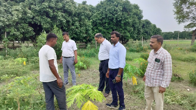 ICAR-MGIFRI, Motihari Promotes Scientific Papaya Cultivation under Khet Bachao Abhiyan to Enhance Soil Health, Fruit Quality, and Farmers' Income