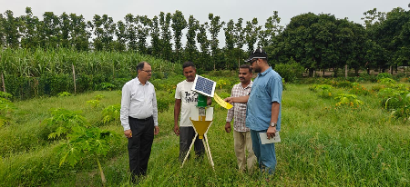 ICAR-MGIFRI, Motihari Promotes Scientific Papaya Cultivation under Khet Bachao Abhiyan to Enhance Soil Health, Fruit Quality, and Farmers' Income