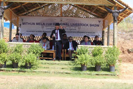 mithunmela-01-2017.jpg