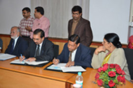 mousing01-14-02-2013