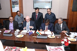 mousydeni-01-29112018