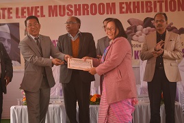 mushroom-02-02012019