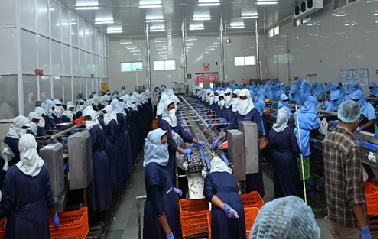 115th FoCARS Industrial, Market and Field Exposure Visit Organised