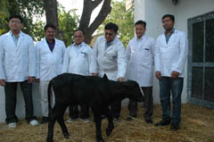 ndri-01-19-03-2013