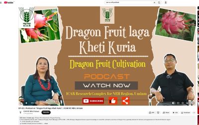 ICAR RC for NEH Initiatives: Empowering Hill Farmers through Vernacular Language Podcasts