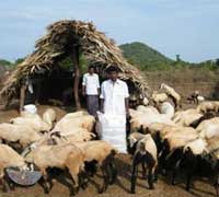 nellore-feed-processing-unit-3