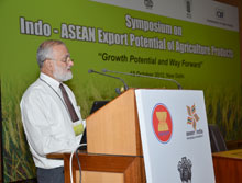news-18-10-2012-asean-1-DG