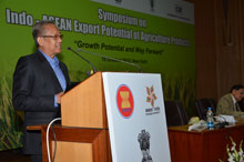 news-18-10-2012-asean-7-min-indonasea