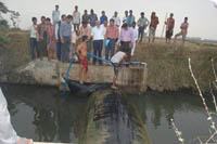 news-bhubeneswar-04-01-2012-5